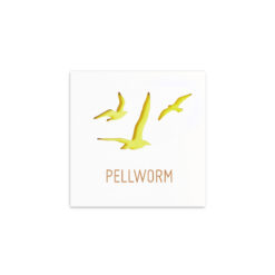 Maritim-Mo¨wen-Pellworm-2