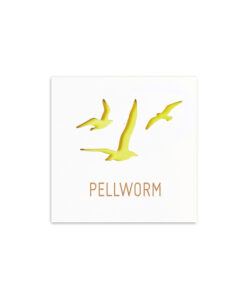 Maritim-Mo¨wen-Pellworm-2